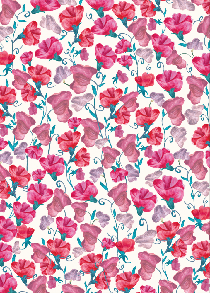 Sweet Pea Floral Print Wrapping Paper By Caroline Gardner